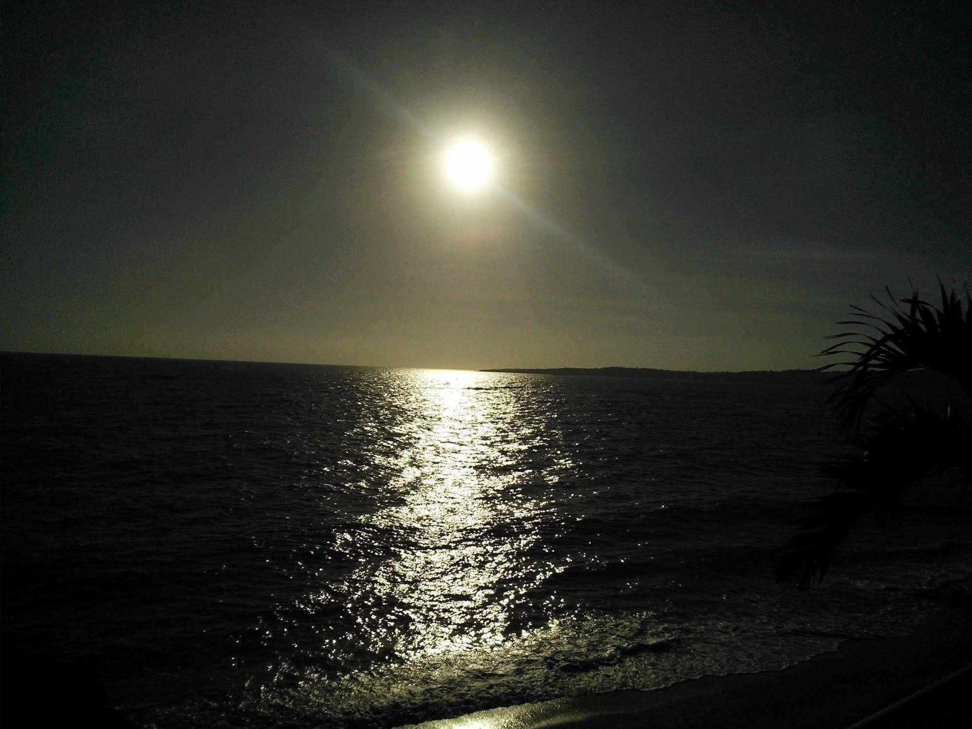Churaumi On The Resort