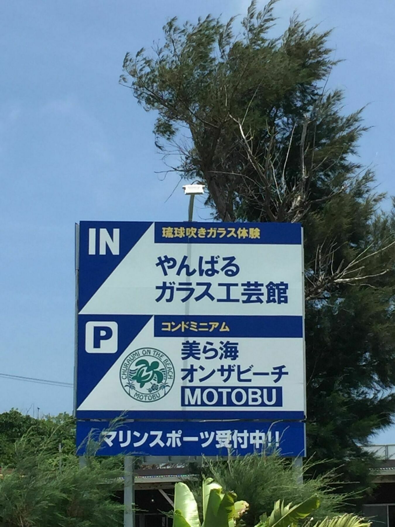 Resort Churaumi On The 3*